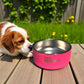 The Real Housedogs of Milford - Pet Food Bowl - Pink - 32 oz. - Mellow Monkey