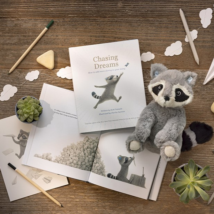 Raccoon Plush - A Companion To The Book "Chasing Dreams" - 8-in - Mellow Monkey