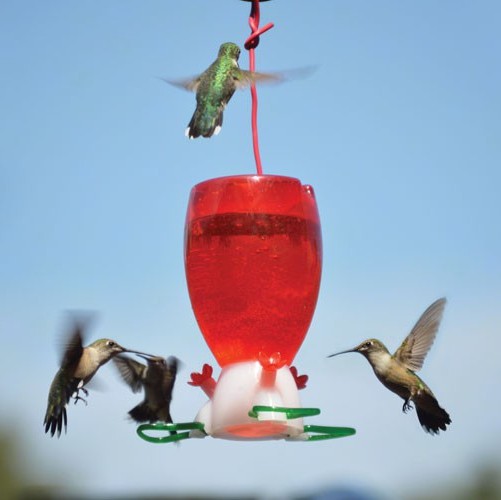 Big Red Hummingbird Feeder - Mellow Monkey