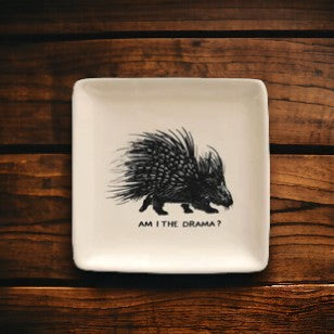 Am I The Drama? - 5-in Square Stoneware Dish with Animal & Saying - Mellow Monkey