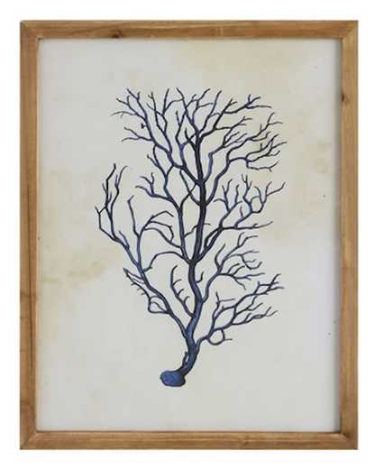 Framed Coral and Shell Wall Hanging - 27-1/2-in - Mellow Monkey