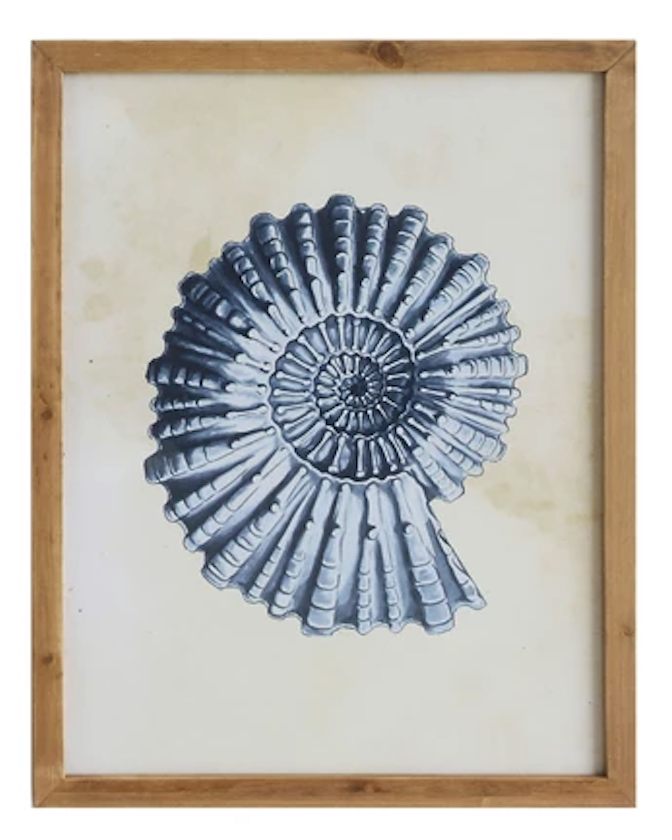 Framed Coral and Shell Wall Hanging - 27-1/2-in - Mellow Monkey