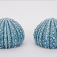 Sea Urchin Salt and Pepper Shaker Set - Set of 2 - 2-3/4-in. - Mellow Monkey