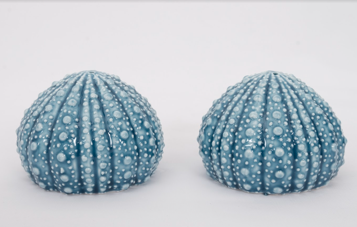 Sea Urchin Salt and Pepper Shaker Set - Set of 2 - 2-3/4-in. - Mellow Monkey