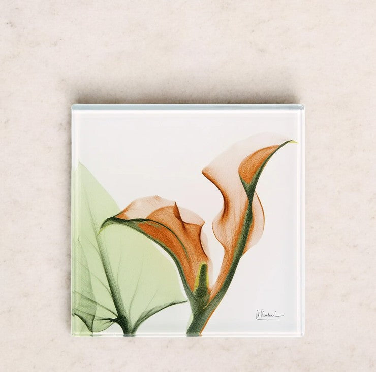 Orange Lily - X-Ray Floral Art Coaster by Albert Koetsier - Mellow Monkey