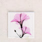 Pink Hibiscus - X-Ray Floral Art Coaster by Albert Koetsier - Mellow Monkey