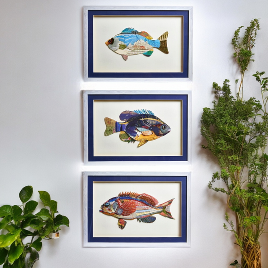 Individual Framed Paper Collage Fish Wall Art - Mellow Monkey