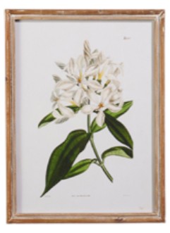 White Floral Framed Wall Art - 20" - Mellow Monkey