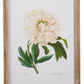 White Floral Framed Wall Art - 20" - Mellow Monkey