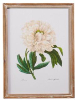 White Floral Framed Wall Art - 20" - Mellow Monkey