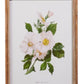 White Floral Framed Wall Art - 20" - Mellow Monkey