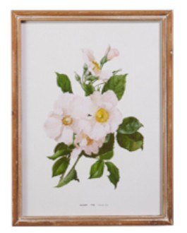 White Floral Framed Wall Art - 20" - Mellow Monkey