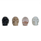 Resin Skulls - 4 Styles - 2-3/4-in - Mellow Monkey