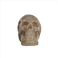 Resin Skulls - 4 Styles - 2-3/4-in - Mellow Monkey