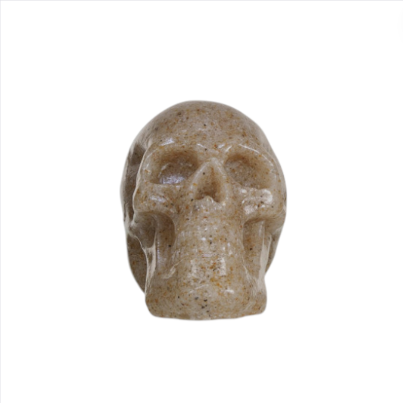 Resin Skulls - 4 Styles - 2-3/4-in - Mellow Monkey