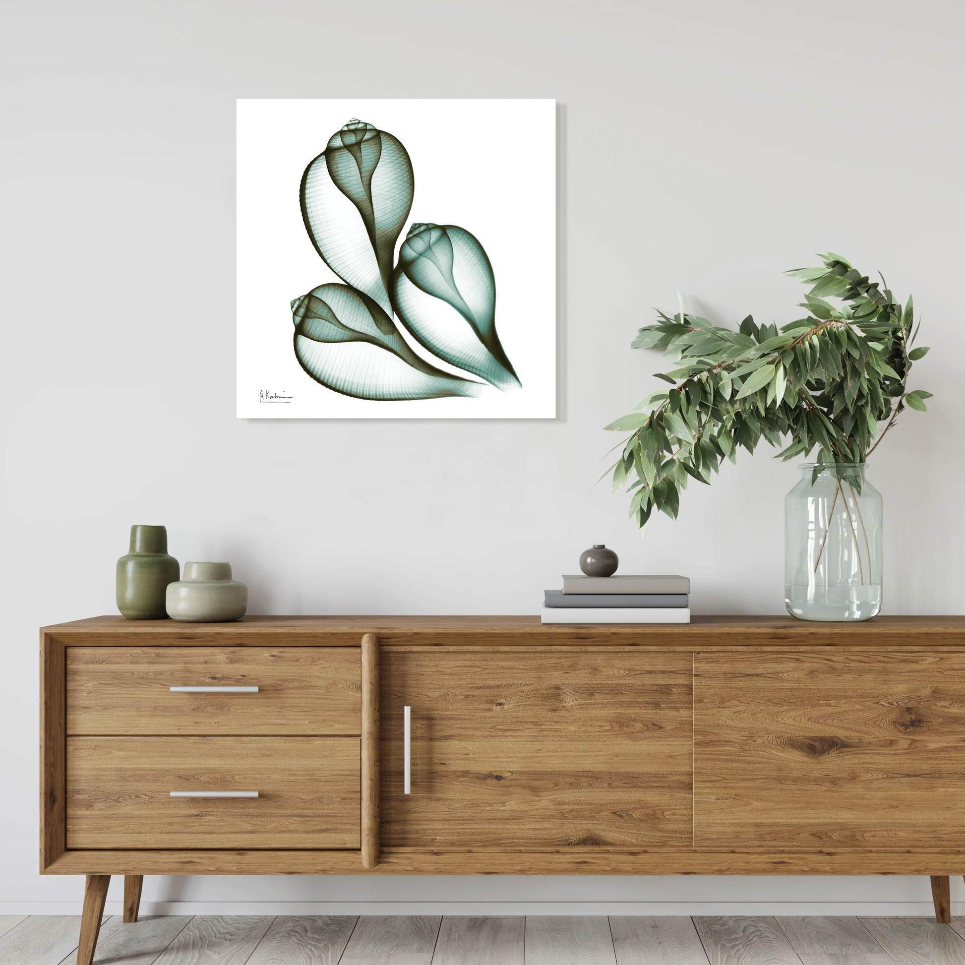 Coastal Serenity II - Radiographic Photography Artwork by Albert Koetsier - 24-in - Mellow Monkey