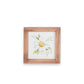 Daisy Small Framed Art - Mellow Monkey