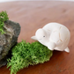 Turtle - Polepole Animal - 2.75-in - Mellow Monkey