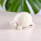 Turtle - Polepole Animal - 2.75-in - Mellow Monkey