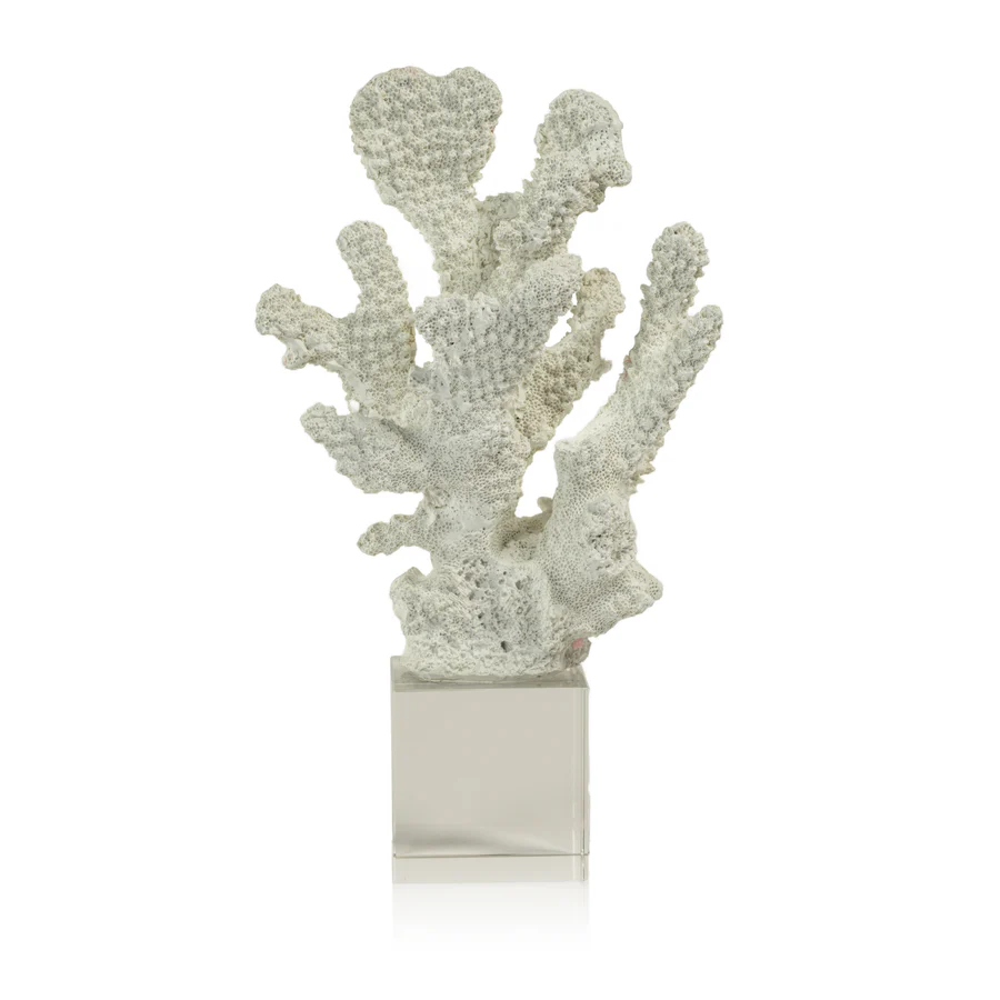 White Coral on Acrylic Base - Mellow Monkey