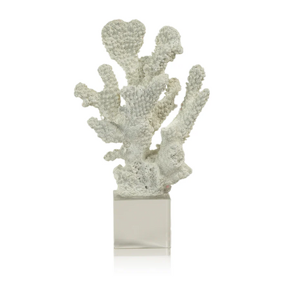 White Coral on Acrylic Base - Mellow Monkey