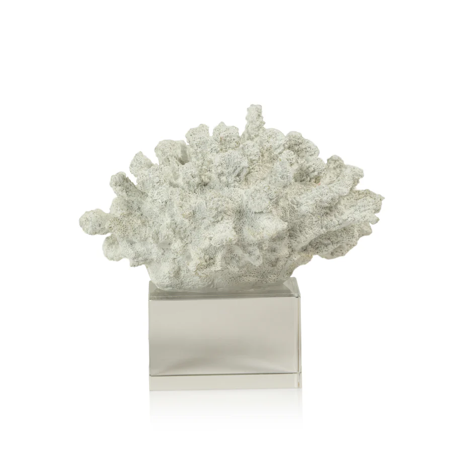 White Coral on Acrylic Base - Mellow Monkey