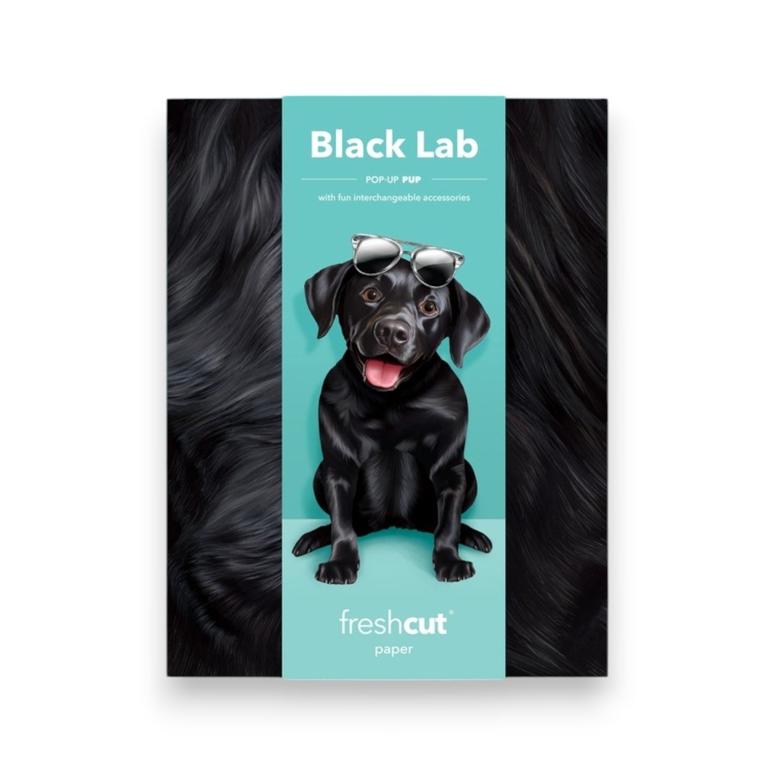 Black Lab - Freshcut Pop-Up Pet Greeting Cards - Mellow Monkey