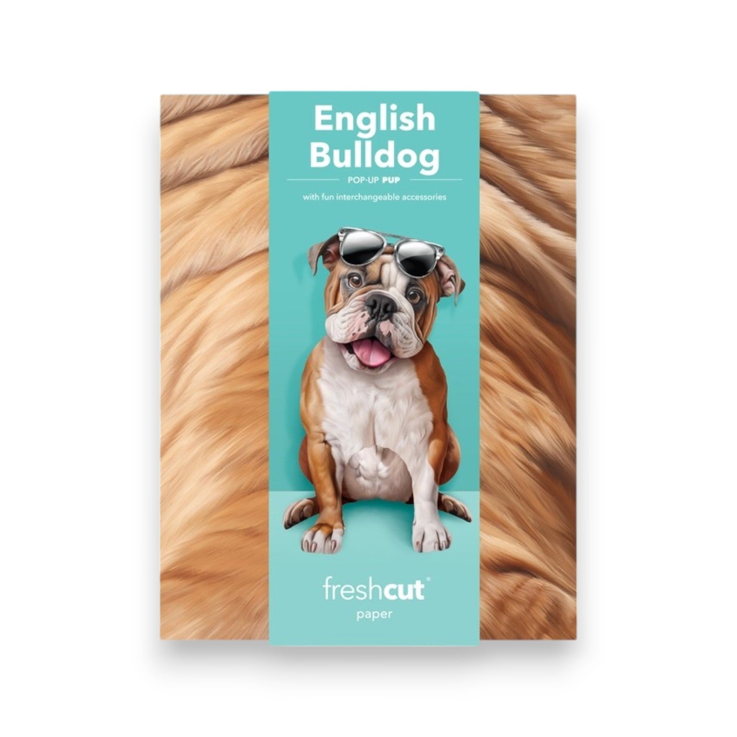 English Bulldog - Freshcut Pop-Up Pet Greeting Cards - Mellow Monkey