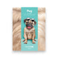 Pug - Freshcut Pop-Up Pet Greeting Cards - Mellow Monkey