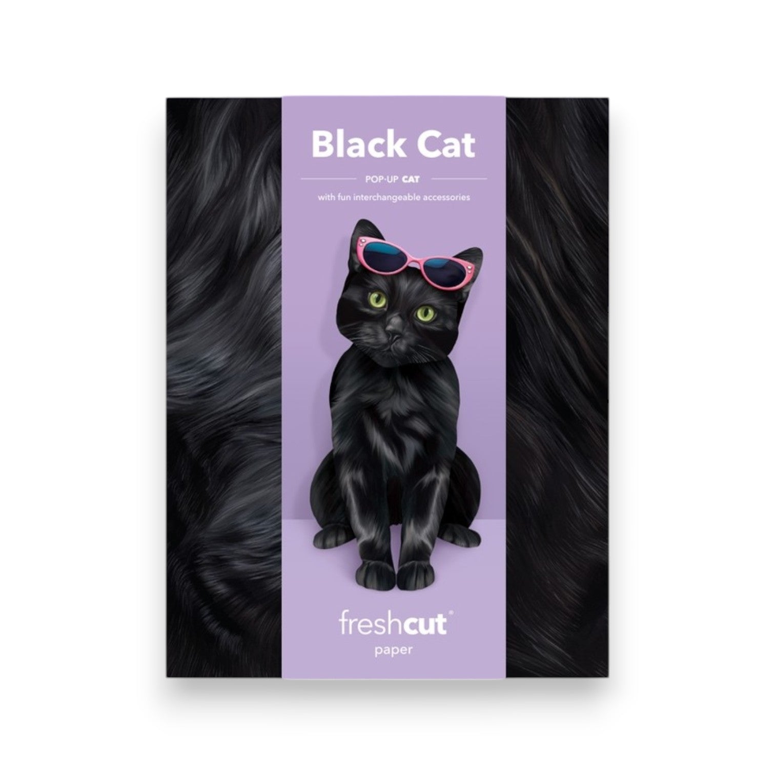 Black Cat - Freshcut Pop-Up Pet Greeting Cards - Mellow Monkey