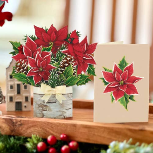 FreshCut Mini Birch Poinsettia Pop-Up Bouquet & Greeting Card - Mellow Monkey