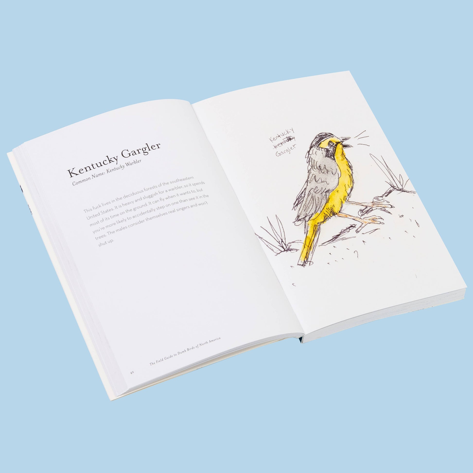 The Field Guide to Dumb Birds of North America - Paperback - Matt Kracht - Mellow Monkey