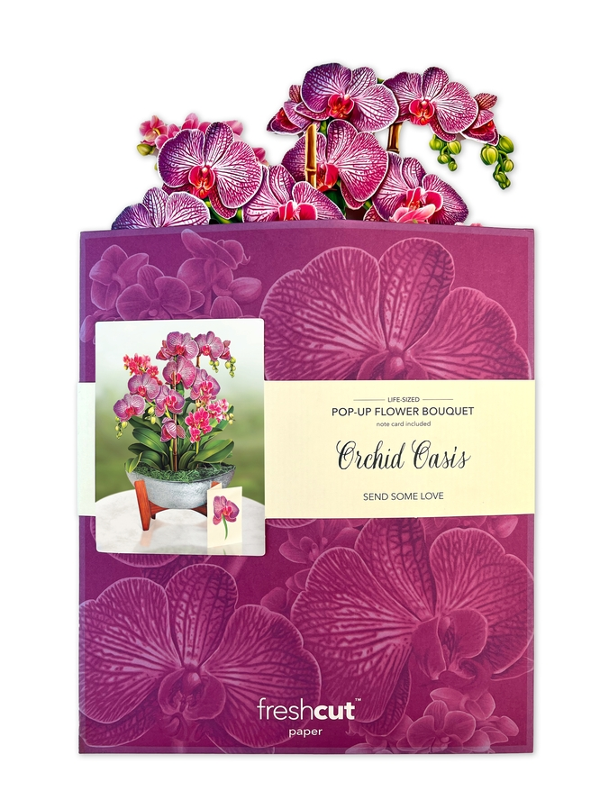 Orchid Oasis - FreshCut Paper Pop-Up Card - Mellow Monkey