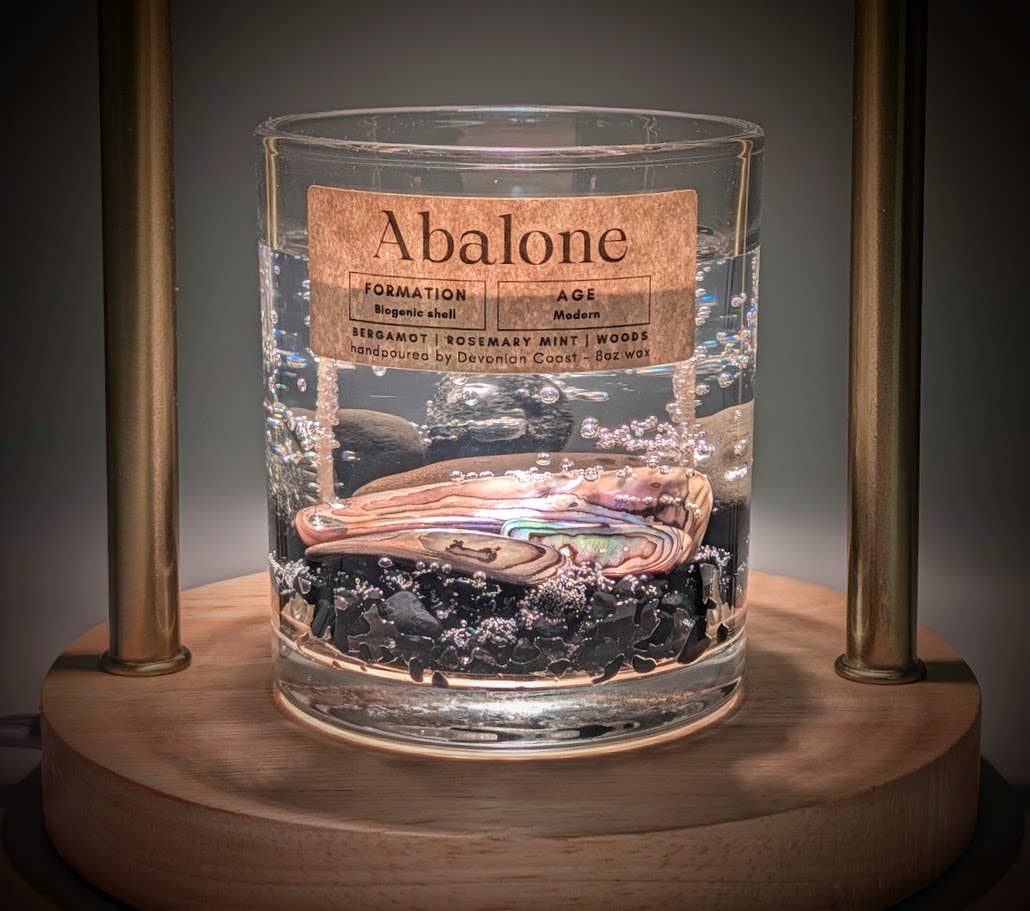 Abalone Shell Treasure - Double Wick Gel Candle - 8-oz - Mellow Monkey