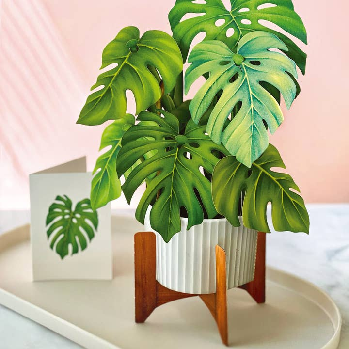 Freshcut Monstera Pop-Up Greeting Card - Mellow Monkey