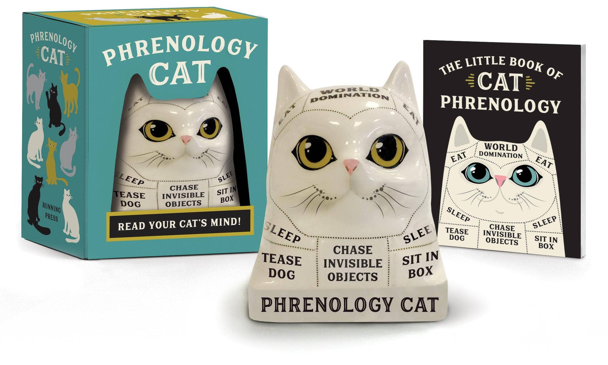 Phrenology Cat: Read Your Cat's Mind! - Mellow Monkey
