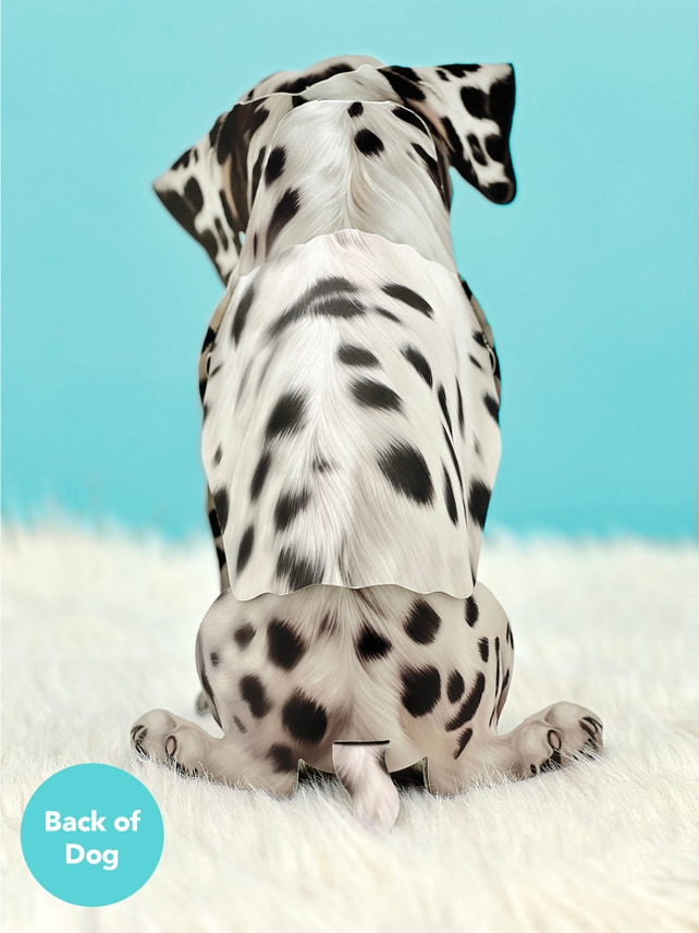 Dalmatian - Freshcut Pop-Up Pet Greeting Cards - Mellow Monkey