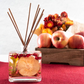 Apple Cider Cinnamon Botanical Reed Diffuser - Mellow Monkey