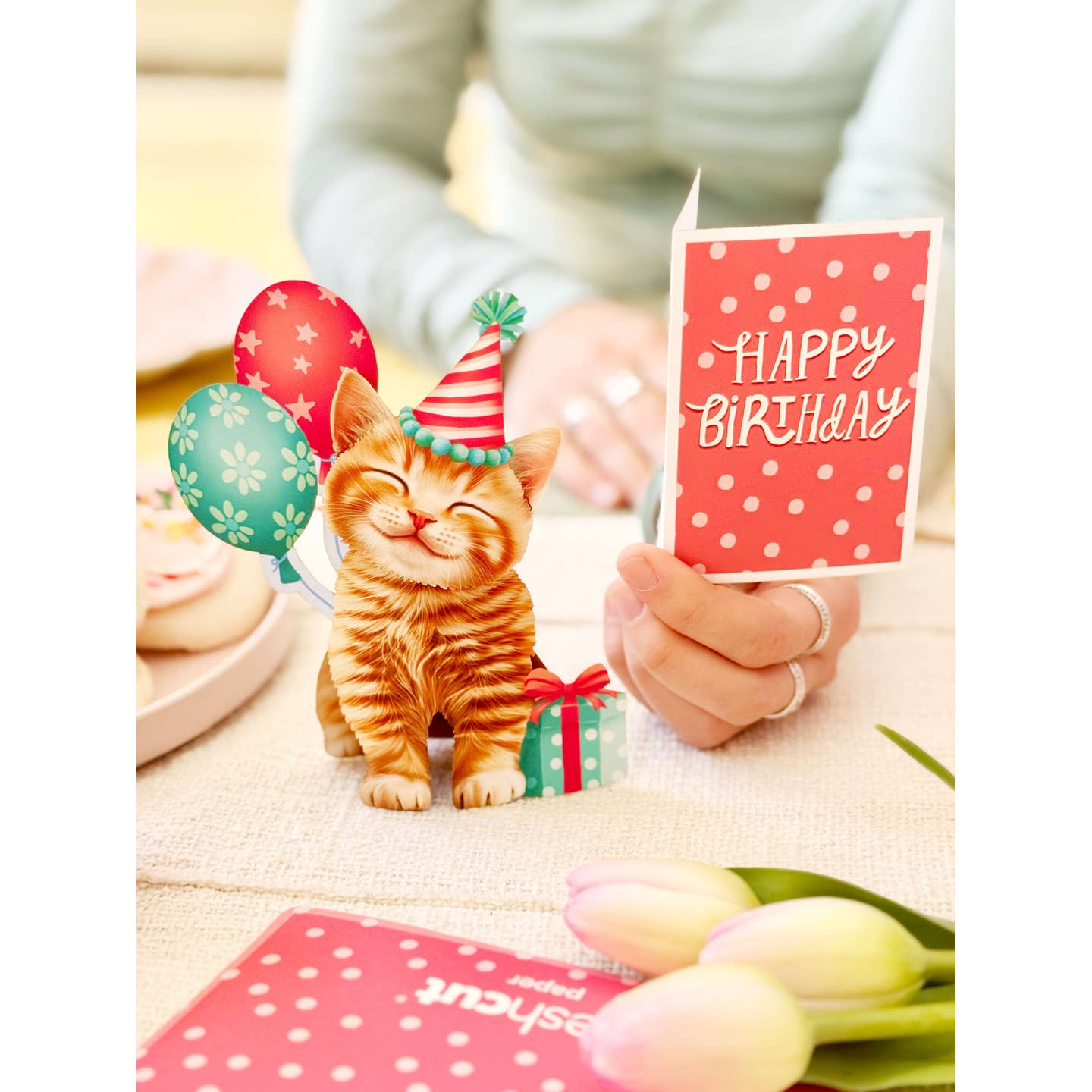Birthday Kitten - Freshcut Paper Mini Pop-Up Greeting Card - Mellow Monkey