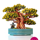 Wisdom Bonsai - Pop-Up Greeting Card - Mellow Monkey