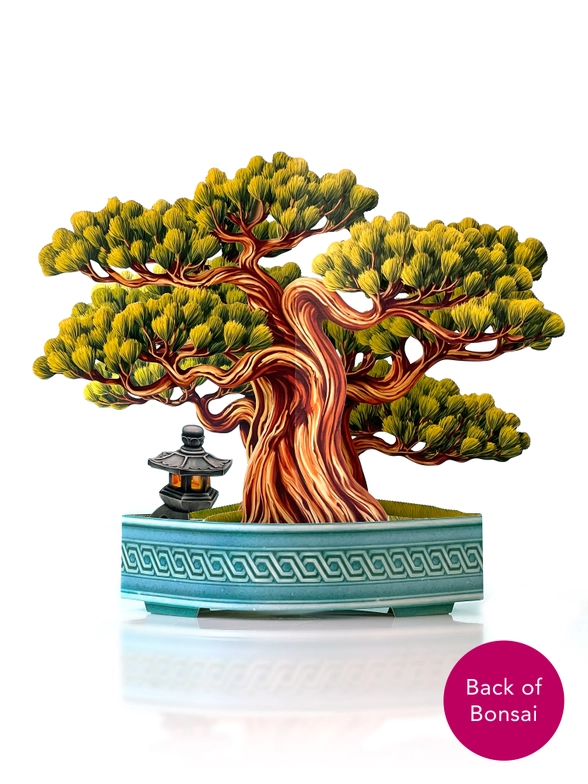 Wisdom Bonsai - Pop-Up Greeting Card - Mellow Monkey