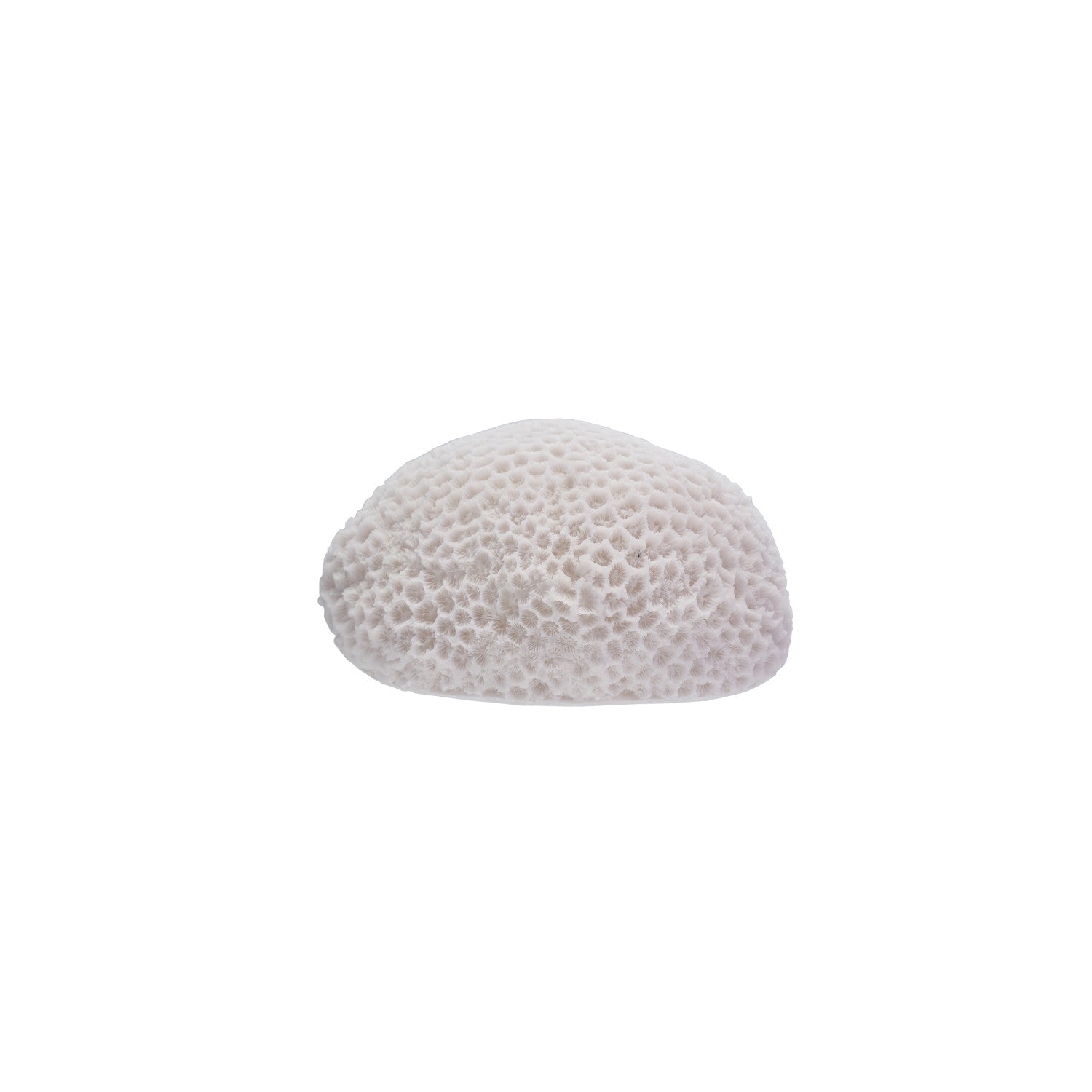 Resin LED Coral Shaped Light, White (Requires 3-AAA Batteries)