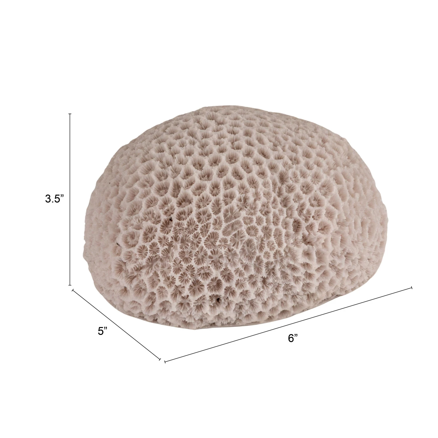 Resin LED Coral Shaped Light - White - Mellow Monkey