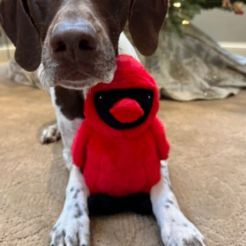 Plush Animated Cardinal Plush Dog Toy with Squeaker - 11-in - Mellow Monkey