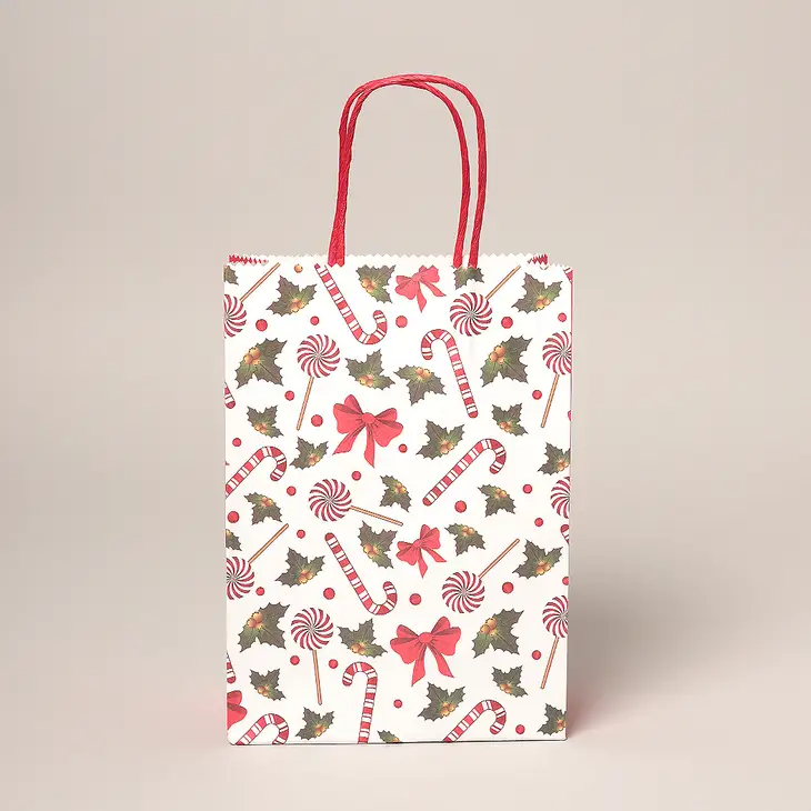 Holiday Paper Gift Bag - Candypop - Mellow Monkey