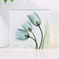Tulips L87 - X-Ray Floral Art Coaster by Albert Koetsier - Mellow Monkey