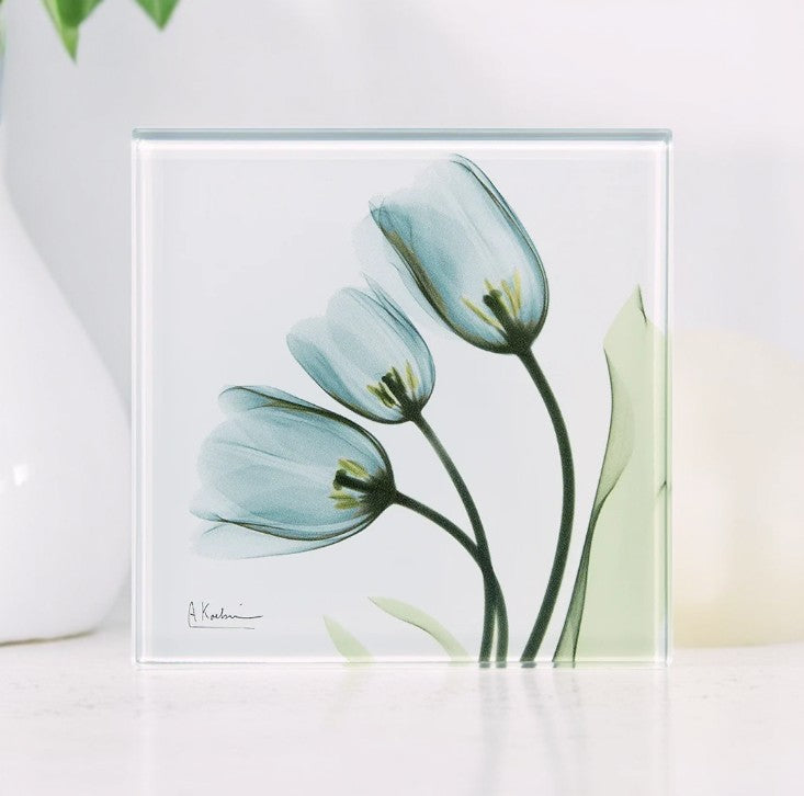 Tulips L87 - X-Ray Floral Art Coaster by Albert Koetsier - Mellow Monkey