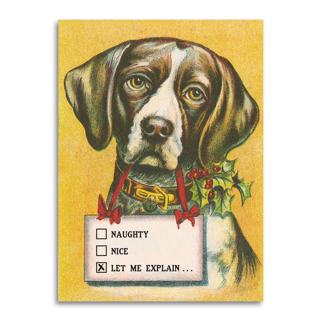 Naughty • Nice • Let Me Explain - Dog Lover's Christmas Card - Mellow Monkey