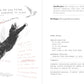 A Dumb Birds Field Guide to the Worst Birds Ever - Paperback - Matt Kracht - Mellow Monkey