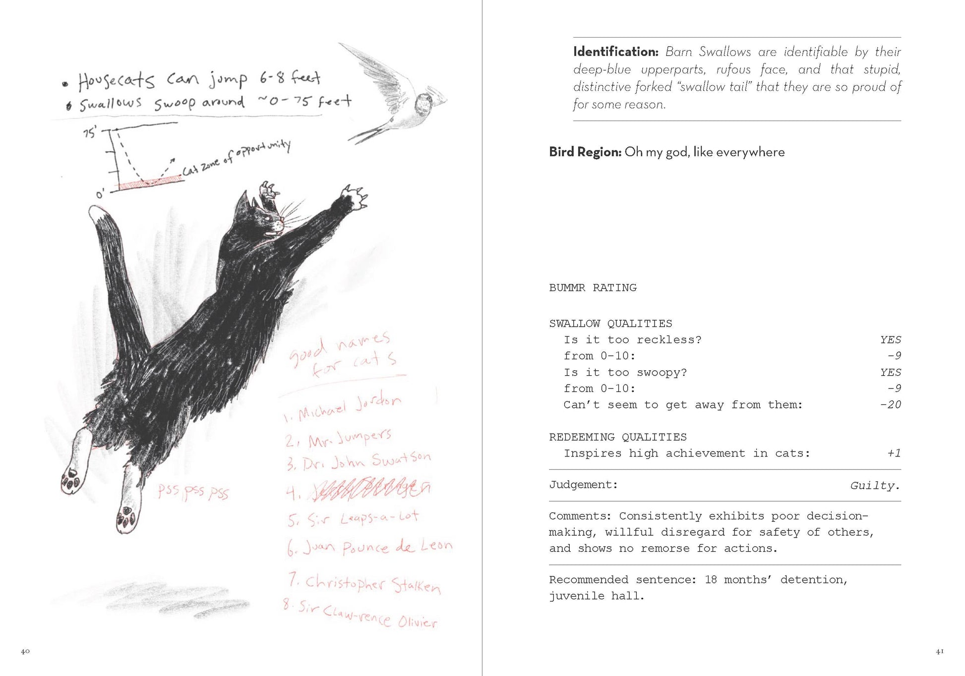 A Dumb Birds Field Guide to the Worst Birds Ever - Paperback - Matt Kracht - Mellow Monkey